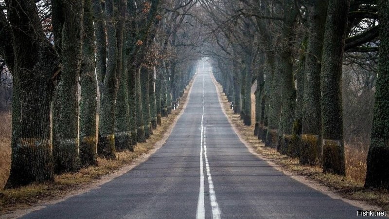 Солянка от 19.11.2022