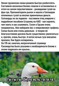 Был такой "момент", в Белоруссии, в деревне... Осенью, гуляли/плавали в пруду наши гуси... А тут над ними стайка диких пролетала... Так трое "наших", как в мультфильме про Нильса, за ними увязались Один, правда, на следующий день вернулся...