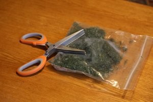 ну да - кому как). отбойный молоток бы у меня тоже годами б лежал без дела. я укроп люблю, в деревне целая грядка засеяна (6 метров), почикал, по пакетикам и в морозилку.