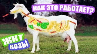 Стали известны подробности трагедии на Сахалине