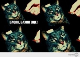 30 раз, когда люди не справились со своей единственной задачей