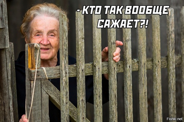 Солянка от 19.11.2022