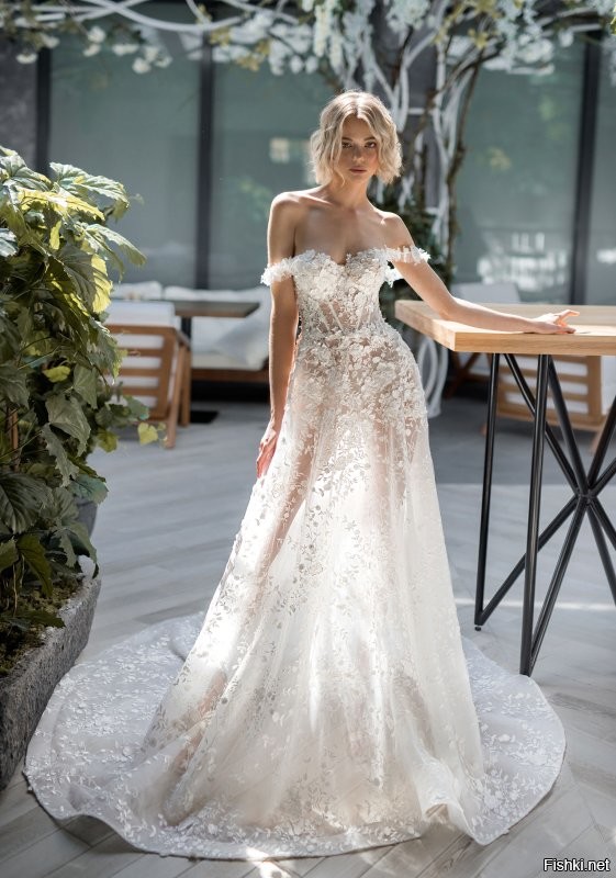 Солянка от 19.11.2022