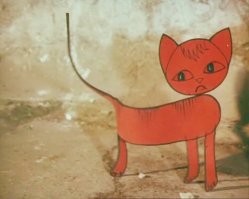 В Турции котик сам пришел в больницу за помощью