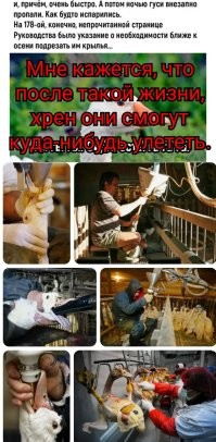 Смешные и познавательные картинки