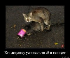 Меркантильные девушки, или должен ли мужчина платить на свидании