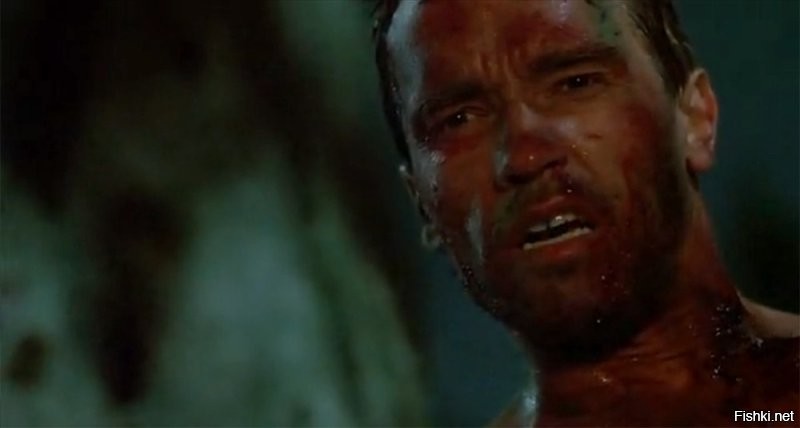 Солянка от 20.11.2022