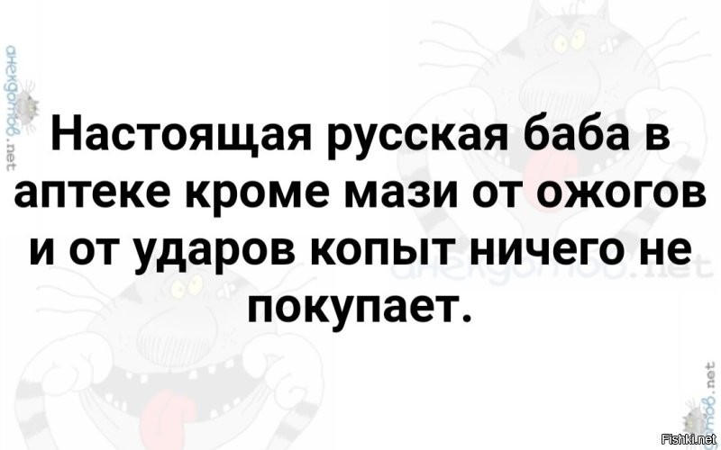 Солянка от 20.11.2022