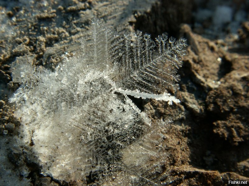 Воркута. Я там не сидел, я там работал))