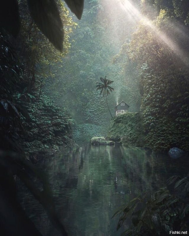 Солянка от 20.11.2022