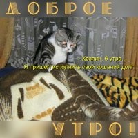 Всем спокойной ночи