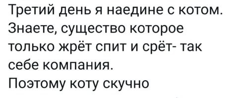 Настоящая КОТапульта