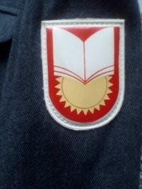 Шеврон не в тот цвет размалевали