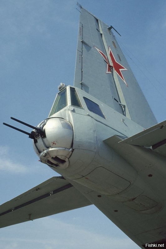 Солянка от 20.11.2022