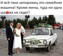 Смешные и познавательные картинки