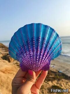 держи - у нас бы на родине за такую монетку пещеру можно купить вместе с пещеристыми телами