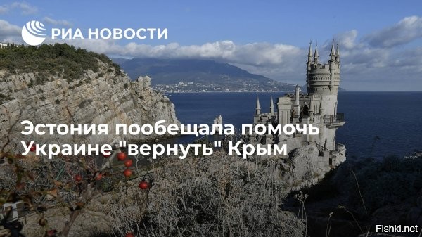 Политическая солянка. Часть 356