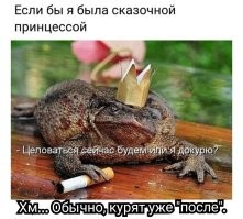 Смешные и познавательные картинки