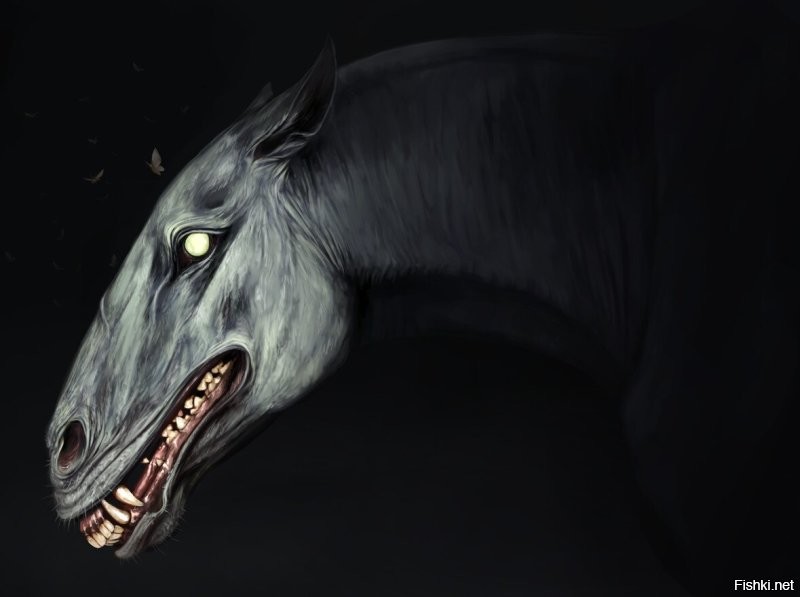 Солянка от 20.11.2022