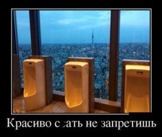 «Удобства» с изюминкой: 10 уникальных общественных туалетов