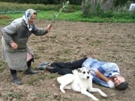 Йожика картинки. Выпуск 243