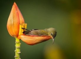 Не ищите здесь смысл. Здесь в основном маразм