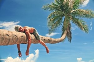 Йожика картинки. Выпуск 244