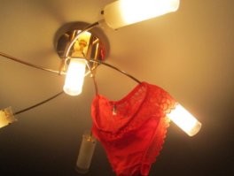 Йожика картинки. Выпуск 243