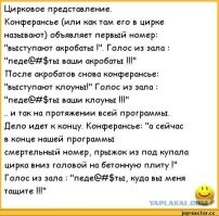 Йожика картинки. Выпуск 243