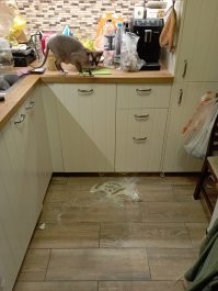 Минус очередная сахарница