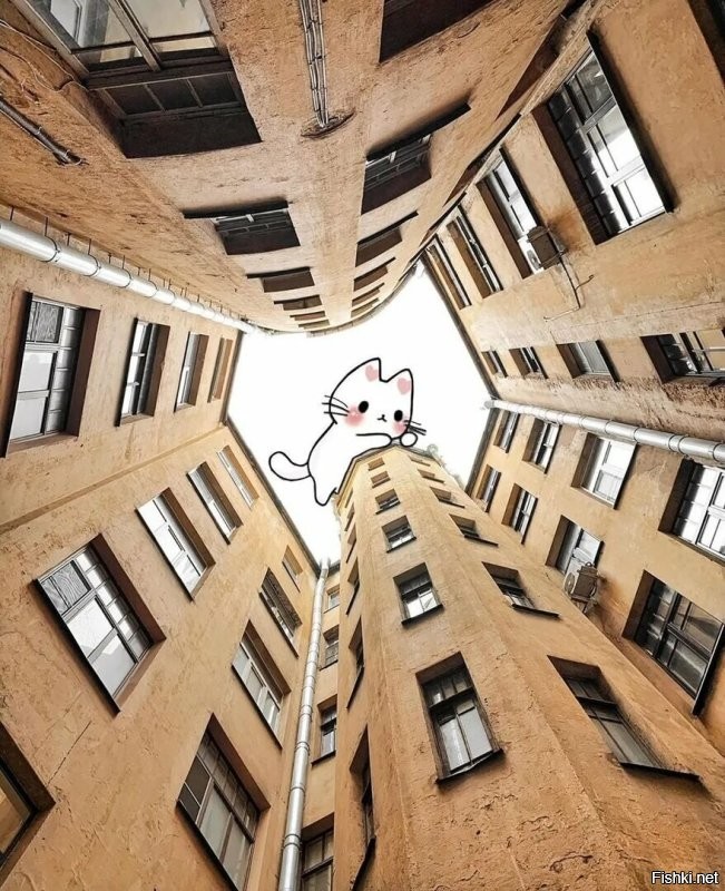 Солянка от 21.11.2022