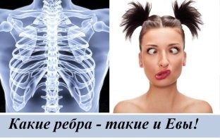 Йожика картинки. Выпуск 243