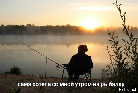 Солянка от 21.11.2022