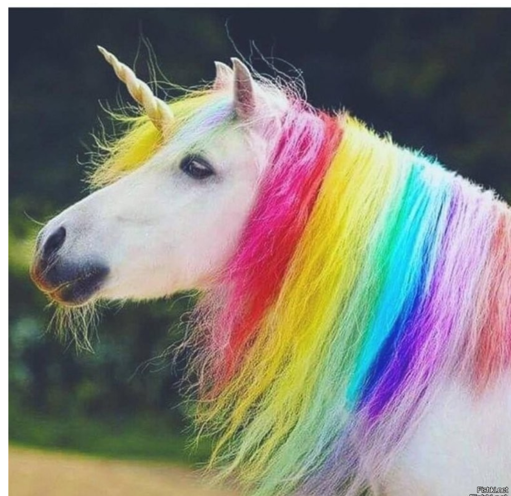 Солянка от 21.11.2022