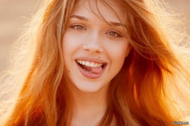 Солянка от 20.11.2022