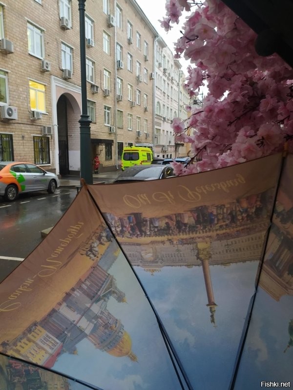 Солянка от 21.11.2022