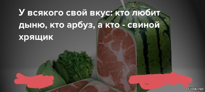 Солянка от 21.11.2022