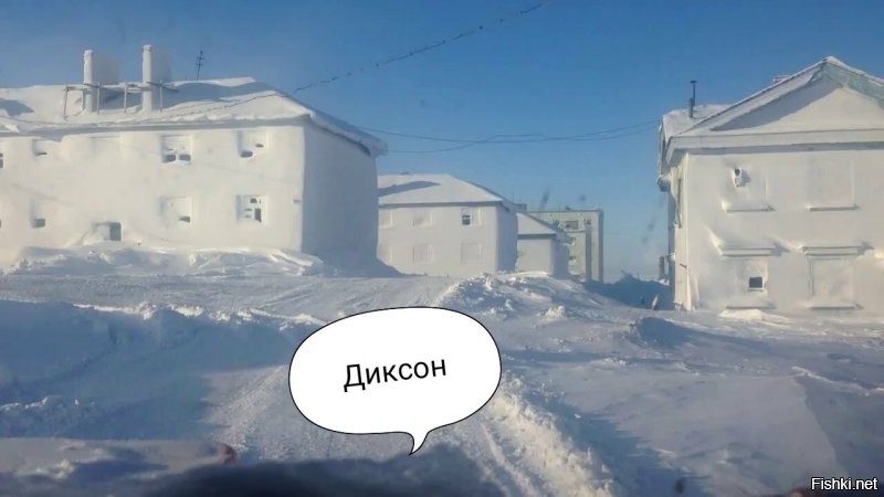 Солянка от 21.11.2022