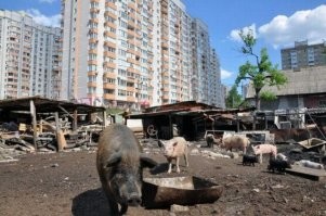 Киев. Позняки