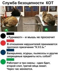 Там ещё и пёсья морда дрыхнет. ГБР, видимо.