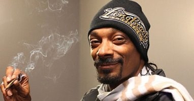 Не ищите здесь смысл. Здесь в основном маразм