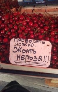 Йожика картинки. Выпуск 244