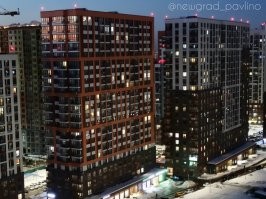 новоград павлино