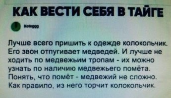 Быстрый способ избавиться от преследующего вас медведя