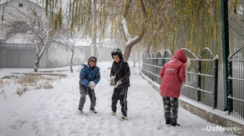Ноябрьский снег в Ташкенте!:)