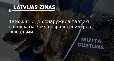 Ссылка на статью: