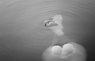 20 животных, которых природа украсила сердечком