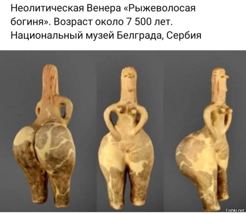 Солянка от 22.11.2022