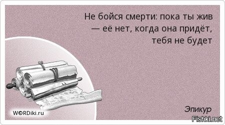 Тонкая завуалированная насмешка. Цитаты про насмешки. Прививка от глупости. Цитаты о насмешках над другими. Цитаты про насмешки над человеком.