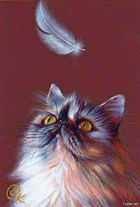 Солянка от 22.11.2022